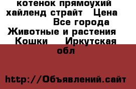 котенок прямоухий  хайленд страйт › Цена ­ 10 000 - Все города Животные и растения » Кошки   . Иркутская обл.